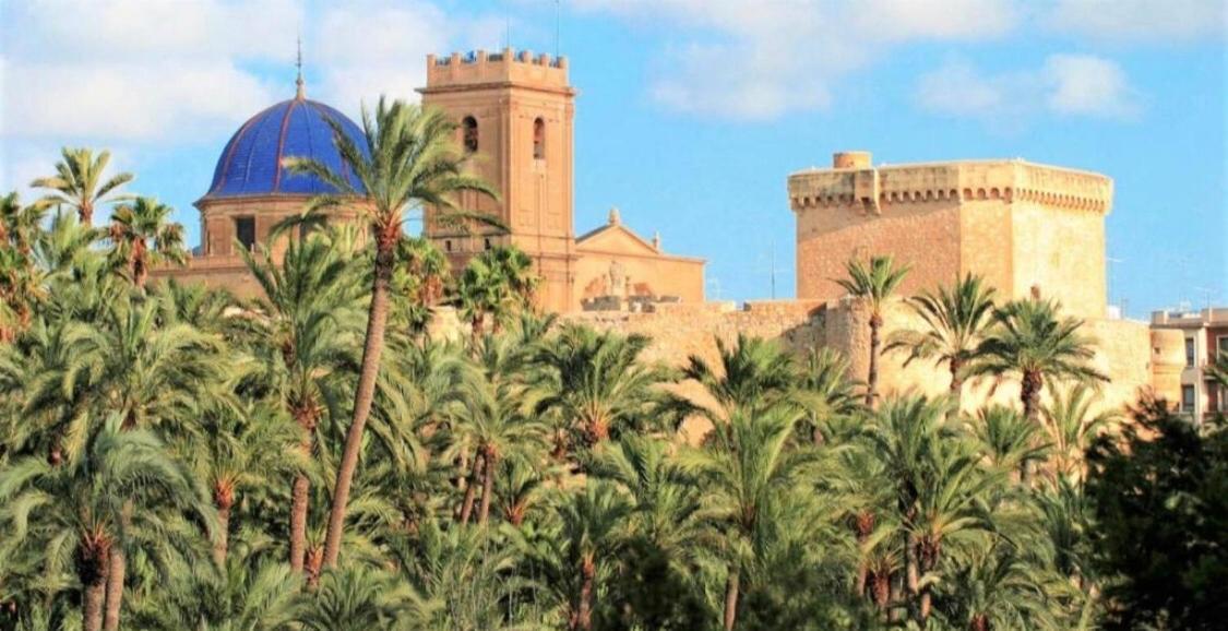Apartment With Pool & Balcony Less Than 10Min Walk To La Mata Beach! 또레비에하 외부 사진