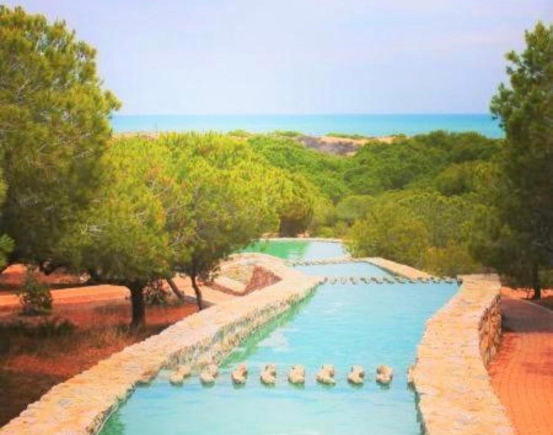 Apartment With Pool & Balcony Less Than 10Min Walk To La Mata Beach! 또레비에하 외부 사진